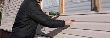 Best Siding Painting and Refinishing  in Cambridge, MN